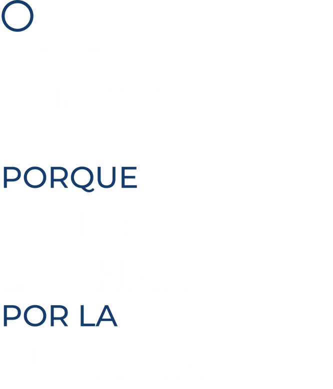 texto-constitucional texto-constitucional